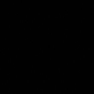 Meet your Posher, Tayler